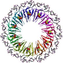 Cyclic protein structure